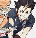 Noya Noya